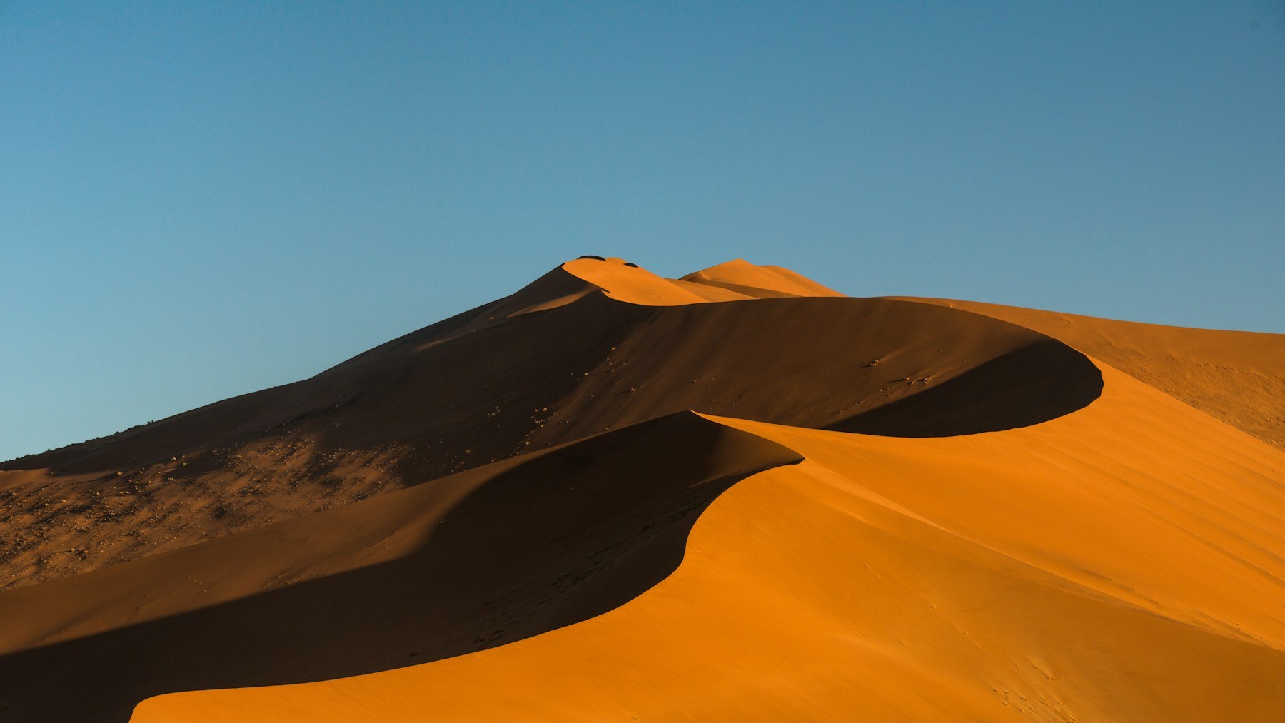 Namib dune landscape